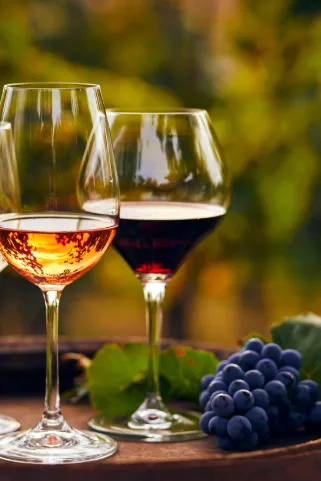 Calici di vino rosso e rosato — carta Bevande e Vini